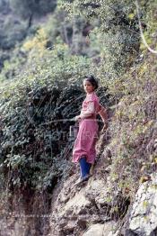 Image du Maroc Professionnelle de  Une berbère remonte la haut sur la montagne pour rejoindre son village, elle porte bidon de conserve transformé en sceau dans lequel il y a un peu de lait de chèvre récupérer chez un membre de la famille. A l'aise sur une pente presque verticale, cette jeune fille grimpe sans peine la montagne du haut Atlas non loin de vallée de l'Ourika, sur la route de l'Oukaimden, le Dimanche 21 Décembre 1986. (Photo / Abdeljalil Bounhar)